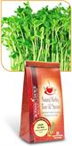 Alfalfa Tea